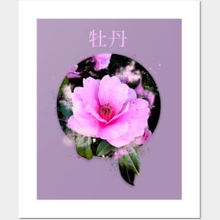 Pink camellia Posters and Art